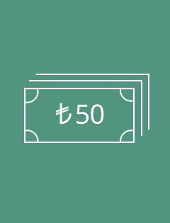 30 TL Para Transferi